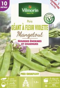 Pois Mangetout Géant à Fleur Violette - 10 m